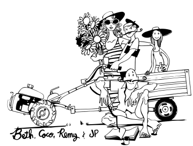 Screen Shot 2019-09-17 at 12.34.30 PM